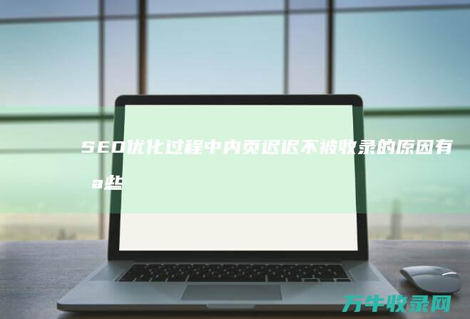 SEO优化过程中内页迟迟不被收录的原因有哪些 互联网 企业 (seo的优化步骤)