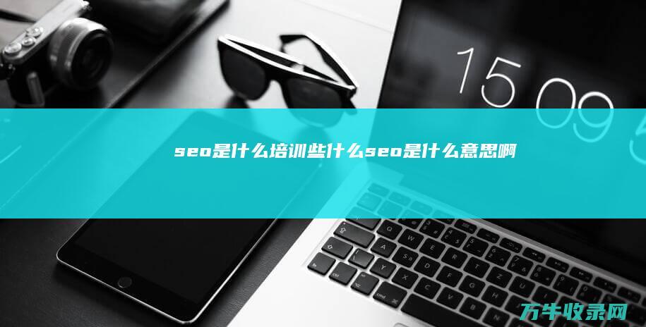 seo是什么 培训些什么 (seo是什么意思啊)