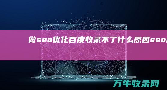 做seo优化百度收录不了什么原因 (seo的优化流程)