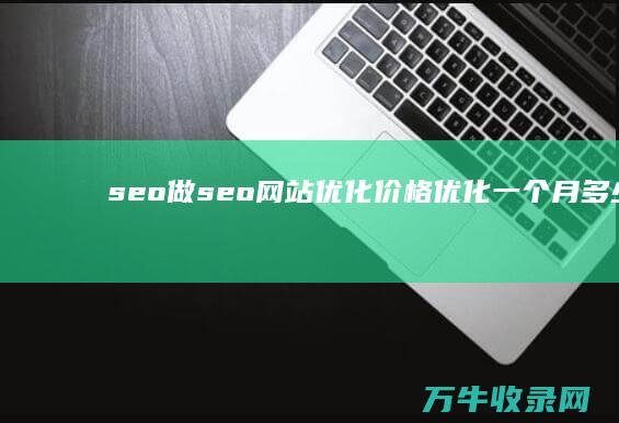 seo 做seo网站优化价格 优化一个月多少钱